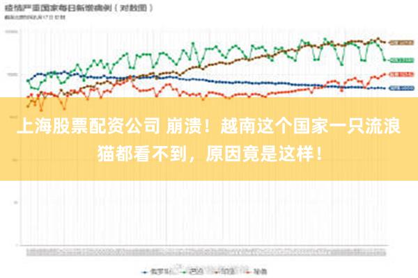 上海股票配资公司 崩溃！越南这个国家一只流浪猫都看不到，原因竟是这样！