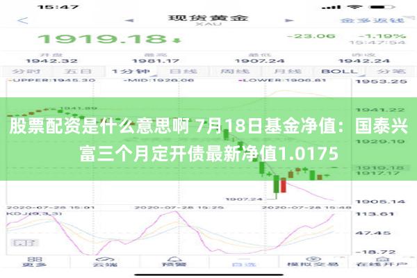 股票配资是什么意思啊 7月18日基金净值：国泰兴富三个月定开债最新净值1.0175