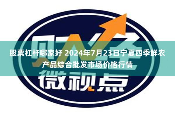 股票杠杆哪家好 2024年7月23日宁夏四季鲜农产品综合批发市场价格行情