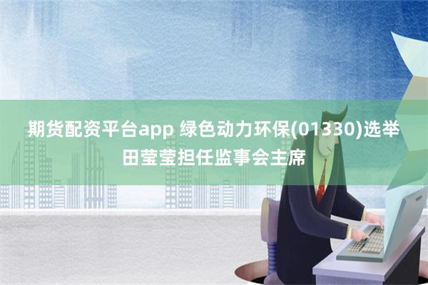 期货配资平台app 绿色动力环保(01330)选举田莹莹担任监事会主席