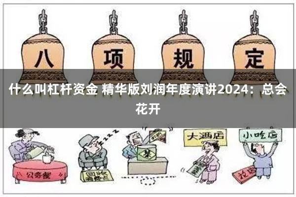 什么叫杠杆资金 精华版刘润年度演讲2024：总会花开