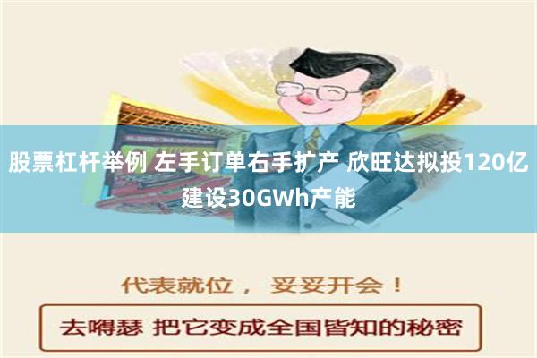 股票杠杆举例 左手订单右手扩产 欣旺达拟投120亿建设30GWh产能