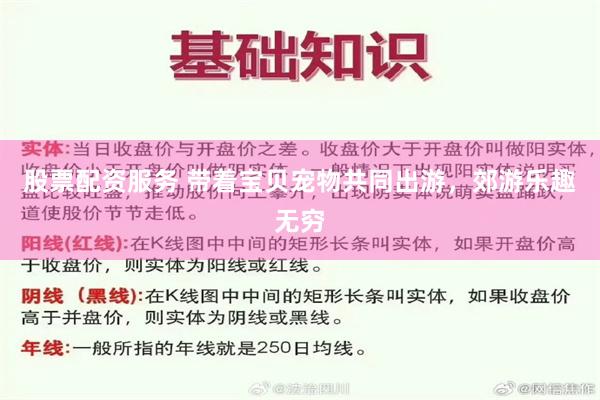 股票配资服务 带着宝贝宠物共同出游，郊游乐趣无穷