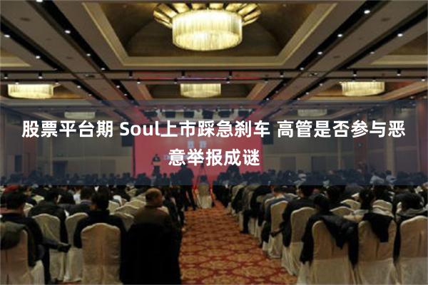 股票平台期 Soul上市踩急刹车 高管是否参与恶意举报成谜